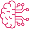 brain (1) brain (1)