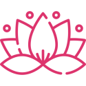 lotus lotus
